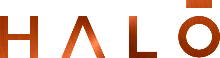 Embracing Circular Economies in South African Motor Body Repair Shops: The Plastic Advantage  – HALO Association